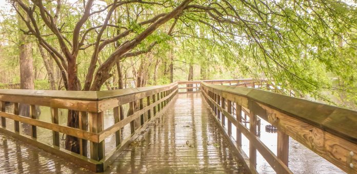 Natural Springs - Destin - Florida - Wakulla