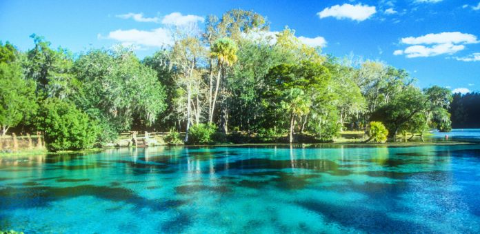 Natural Springs - Destin - Florida - Wakulla